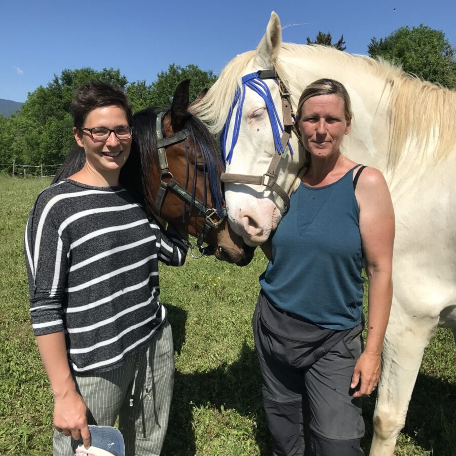 Achat d’un tracteur dédié au bien-être de nos chevaux et de notre écurie !